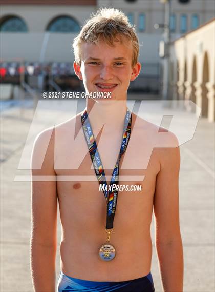 Thumbnail 3 in AIA Division 1-3 Diving State Championships  (Awards) photogallery.