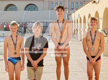 Thumbnail 2 in AIA Division 1-3 Diving State Championships  (Awards) photogallery.