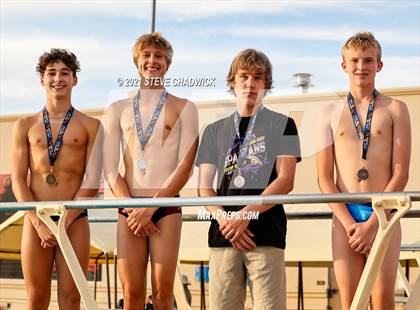 Thumbnail 2 in AIA Division 1-3 Diving State Championships  (Awards) photogallery.