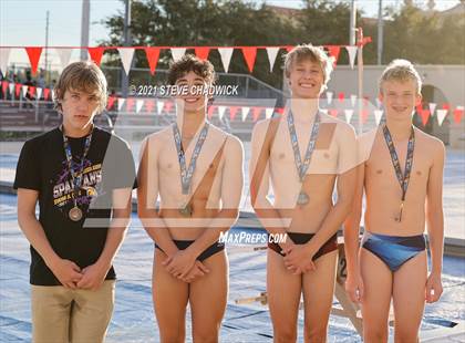Thumbnail 3 in AIA Division 1-3 Diving State Championships  (Awards) photogallery.