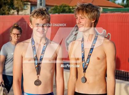 Thumbnail 1 in AIA Division 1-3 Diving State Championships  (Awards) photogallery.