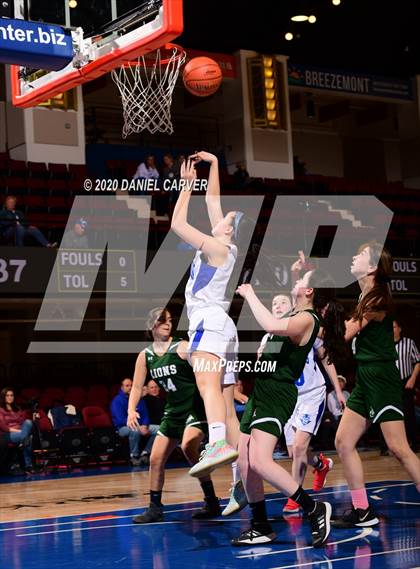 Thumbnail 2 in Haldane vs. The Leffell School (Section 1 Class C Semifinal) photogallery.