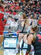 Photo from the gallery "Liberty vs. Argyle (UIL 5A D2 Volleyball Semifinal)"