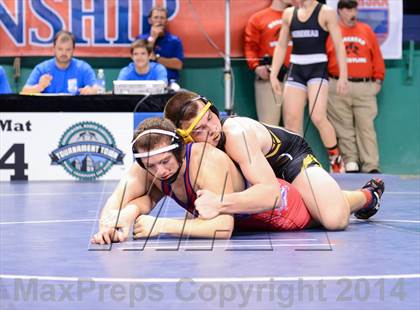 Thumbnail 3 in NCHSAA Individual Wrestling 3A Quarterfinals photogallery.