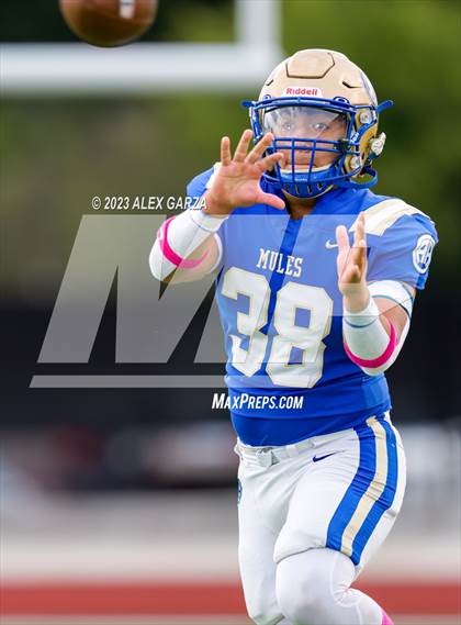 Thumbnail 3 in Jefferson @ Alamo Heights photogallery.