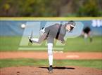 Photo from the gallery "Los Gatos @ Aptos"