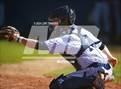 Photo from the gallery "Los Gatos @ Aptos"