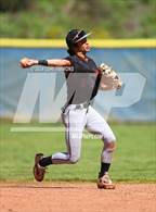 Photo from the gallery "Los Gatos @ Aptos"