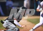Photo from the gallery "Los Gatos @ Aptos"