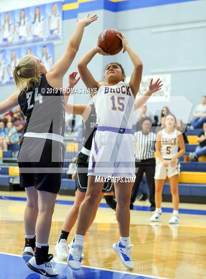 Thumbnail 2 in Springtown @ Brock photogallery.