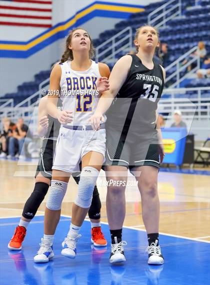 Thumbnail 1 in Springtown @ Brock photogallery.