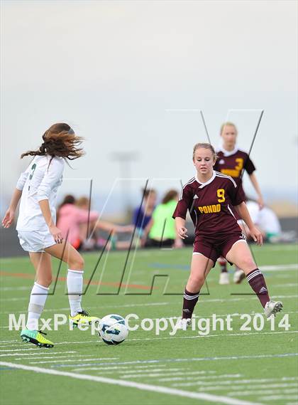 Thumbnail 2 in Ponderosa @ Mountain Vista photogallery.
