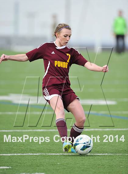 Thumbnail 3 in Ponderosa @ Mountain Vista photogallery.