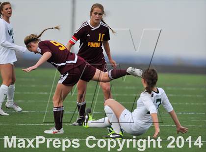 Thumbnail 2 in Ponderosa @ Mountain Vista photogallery.