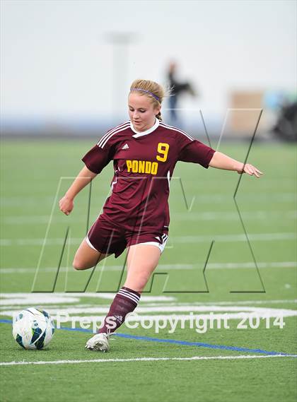 Thumbnail 3 in Ponderosa @ Mountain Vista photogallery.