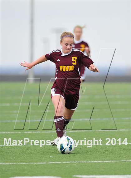 Thumbnail 3 in Ponderosa @ Mountain Vista photogallery.