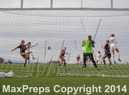 Thumbnail 3 in Ponderosa @ Mountain Vista photogallery.