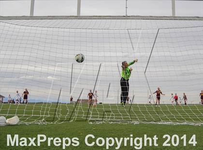 Thumbnail 3 in Ponderosa @ Mountain Vista photogallery.