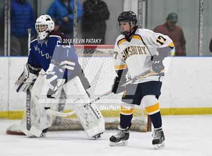 Thumbnail 2 in Suffield/Granby/Windsor Locks @ Simsbury photogallery.