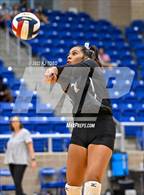 Photo from the gallery "Harlan @ Clark"