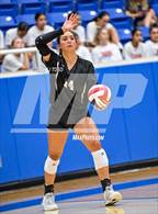 Photo from the gallery "Harlan @ Clark"