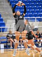 Photo from the gallery "Harlan @ Clark"
