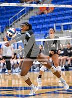 Photo from the gallery "Harlan @ Clark"