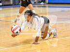 Photo from the gallery "Harlan @ Clark"