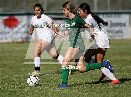 Thumbnail 1 in Reedley @ Templeton (CIF Central 1st Round) photogallery.