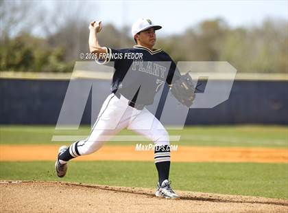 Thumbnail 1 in Plant @ Sumner photogallery.