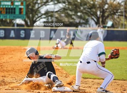 Thumbnail 3 in Plant @ Sumner photogallery.