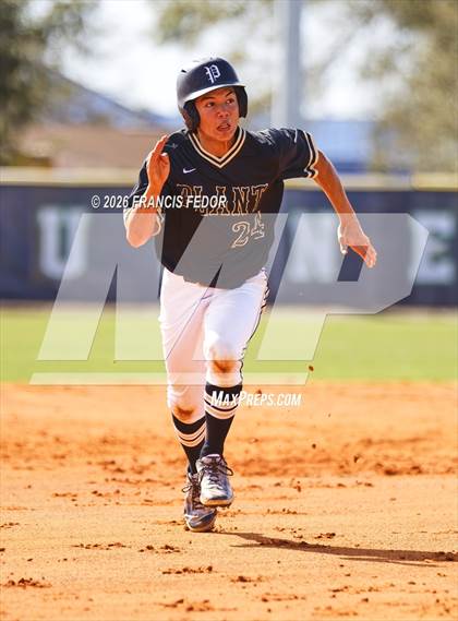 Thumbnail 2 in Plant @ Sumner photogallery.