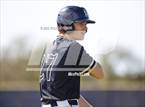Photo from the gallery "Plant @ Sumner"