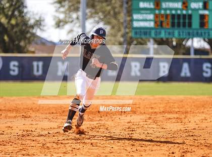 Thumbnail 2 in Plant @ Sumner photogallery.