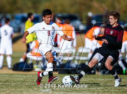 Thumbnail 1 in Hamilton vs Downey (Reach 11 Arizona Showcase) photogallery.