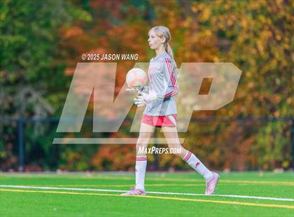 Thumbnail 2 in Newport - Bellevue @ Lindbergh photogallery.