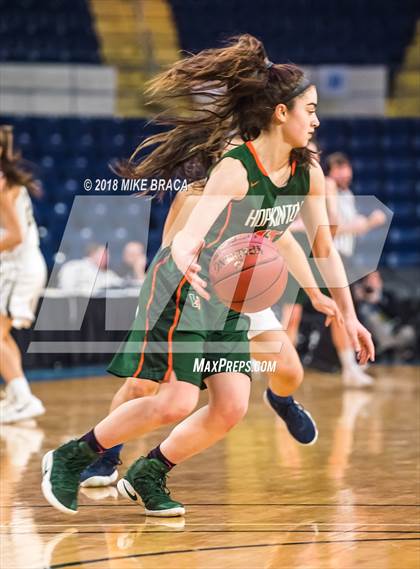Thumbnail 2 in Hopkinton vs. Foxborough (MIAA Division 2 State Final) photogallery.