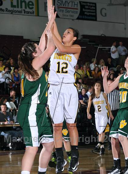 Thumbnail 2 in Paradise vs. Enterprise (CIF NS D3 Final) photogallery.