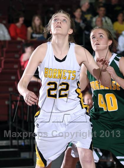 Thumbnail 2 in Paradise vs. Enterprise (CIF NS D3 Final) photogallery.