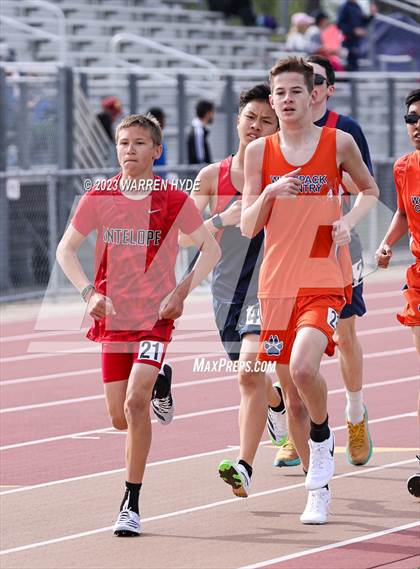 Thumbnail 3 in Herd Roundup @ Elk Grove photogallery.