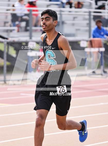 Thumbnail 1 in Herd Roundup @ Elk Grove photogallery.