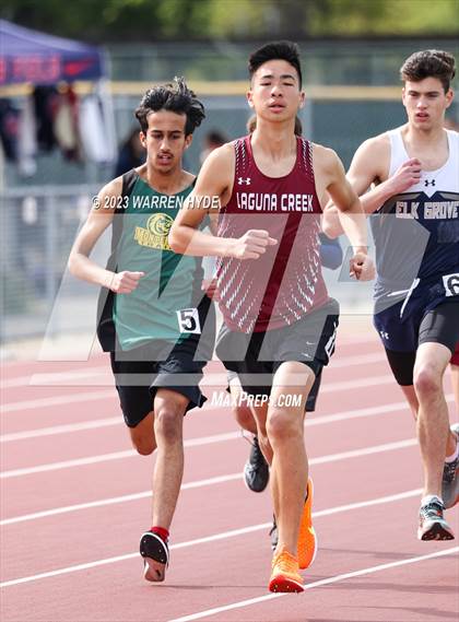 Thumbnail 2 in Herd Roundup @ Elk Grove photogallery.