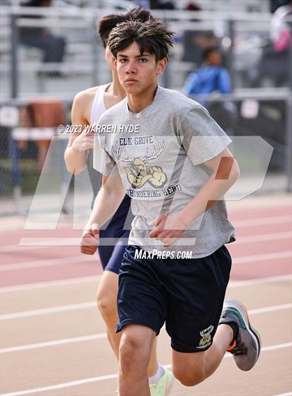 Thumbnail 3 in Herd Roundup @ Elk Grove photogallery.