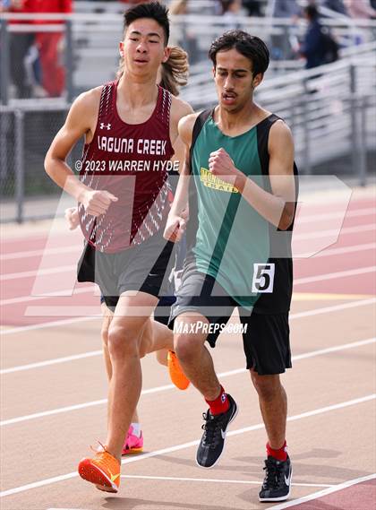 Thumbnail 3 in Herd Roundup @ Elk Grove photogallery.