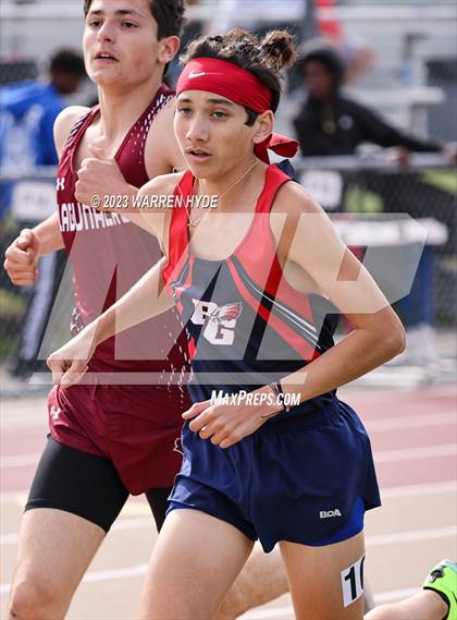 Thumbnail 2 in Herd Roundup @ Elk Grove photogallery.