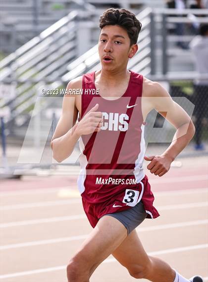Thumbnail 1 in Herd Roundup @ Elk Grove photogallery.