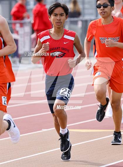 Thumbnail 1 in Herd Roundup @ Elk Grove photogallery.