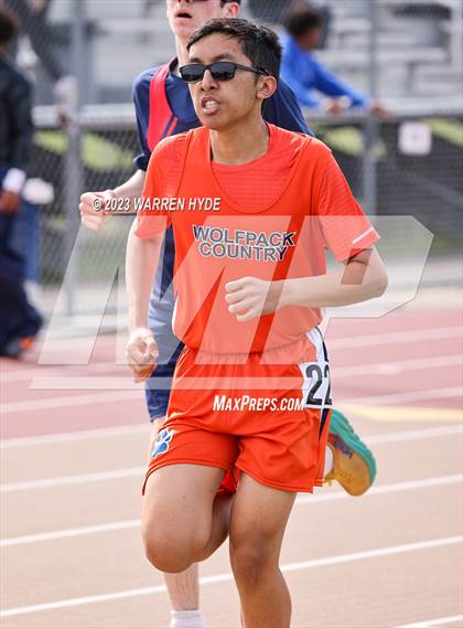 Thumbnail 2 in Herd Roundup @ Elk Grove photogallery.