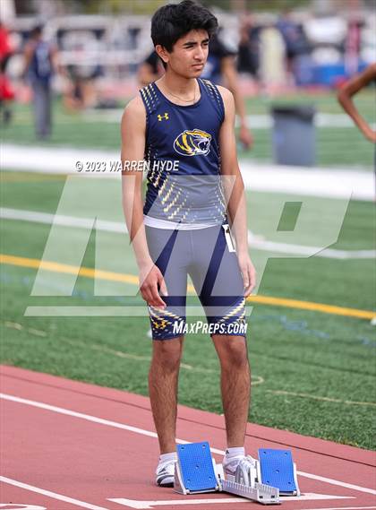 Thumbnail 3 in Herd Roundup @ Elk Grove photogallery.
