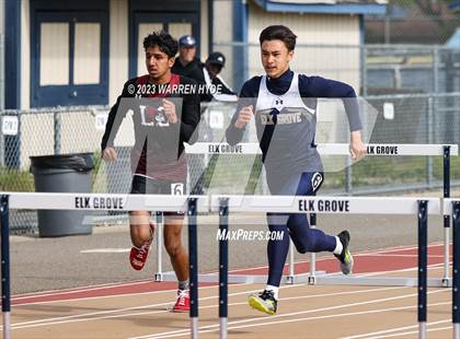 Thumbnail 1 in Herd Roundup @ Elk Grove photogallery.